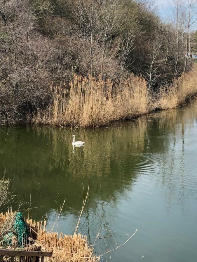 Lake Residence Dunajská Streda エクステリア 写真